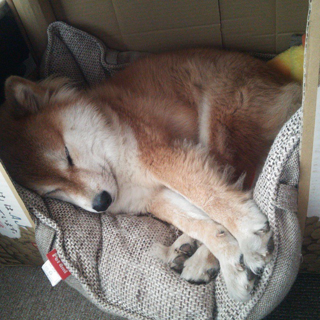 介绍电子产品的ppt（介绍电子产品的PPT模板）